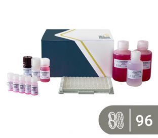 SENSISpec ELISA Peanut 96 wells