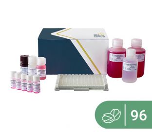 SENSISpec ELISA Pistachio 96 wells