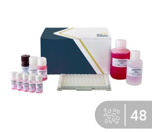 SENSISpec ELISA Sesame 48 wells