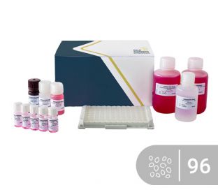 SENSISpec ELISA Sesame 96 wells