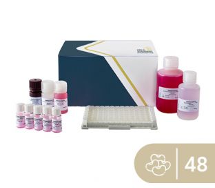 SENSISpec ELISA Soy 48 wells
