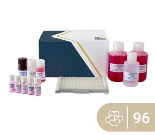 SENSISpec ELISA Soy 96 wells