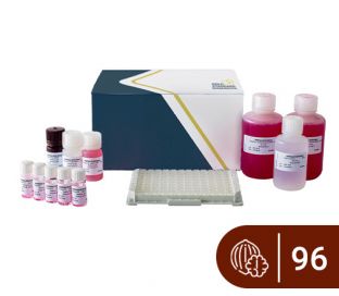 SENSISpec ELISA Walnut 96 wells