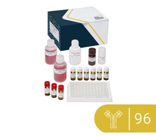 SENSISpec Tetracycline ELISA, 96 tests