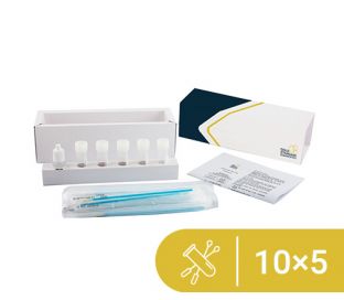 SENSISwab Kit / 10 x 5 tests