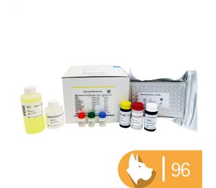 VetLine Canine Parvovirus (CPV) 96 tests