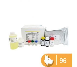 VetLine Canine Distemper Virus (CDV) 96 tests
