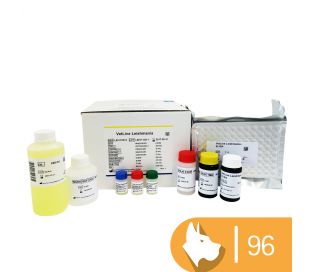 VetLine Leishmania 96 tests