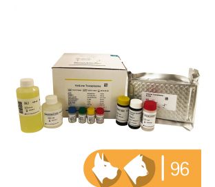VetLine Toxoplasma 96 tests
