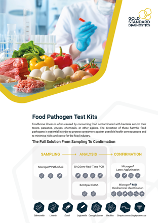 Food Pathogens Flyer