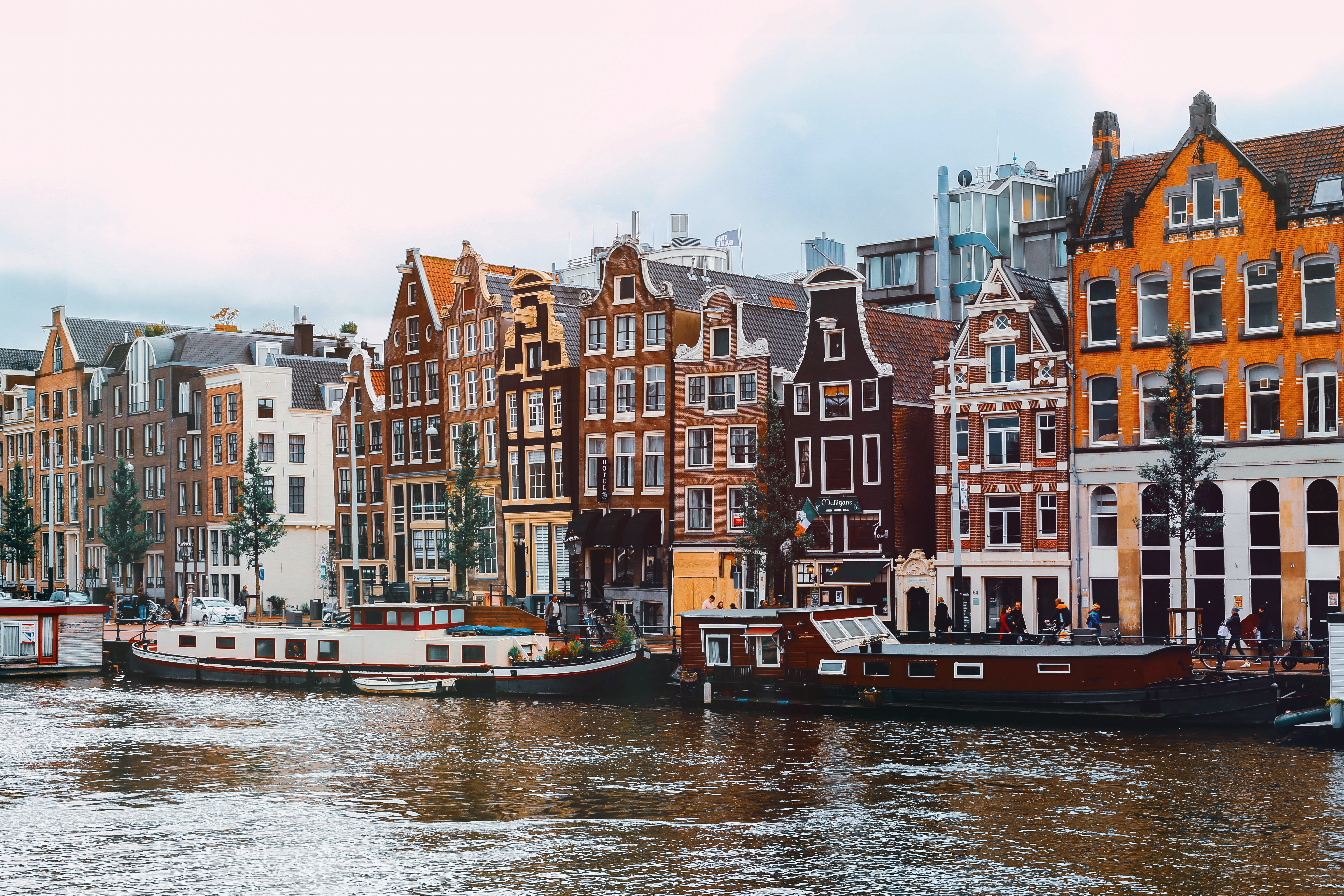 Join us at the Food Allergy Forum 2023! /27-29 September, Amsterdam/