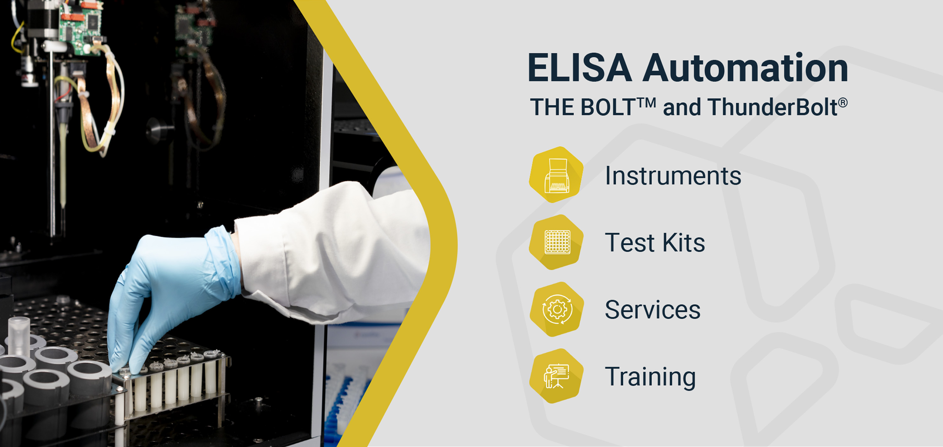 Supporting the routine: a bundle of instruments, services, training and test kits