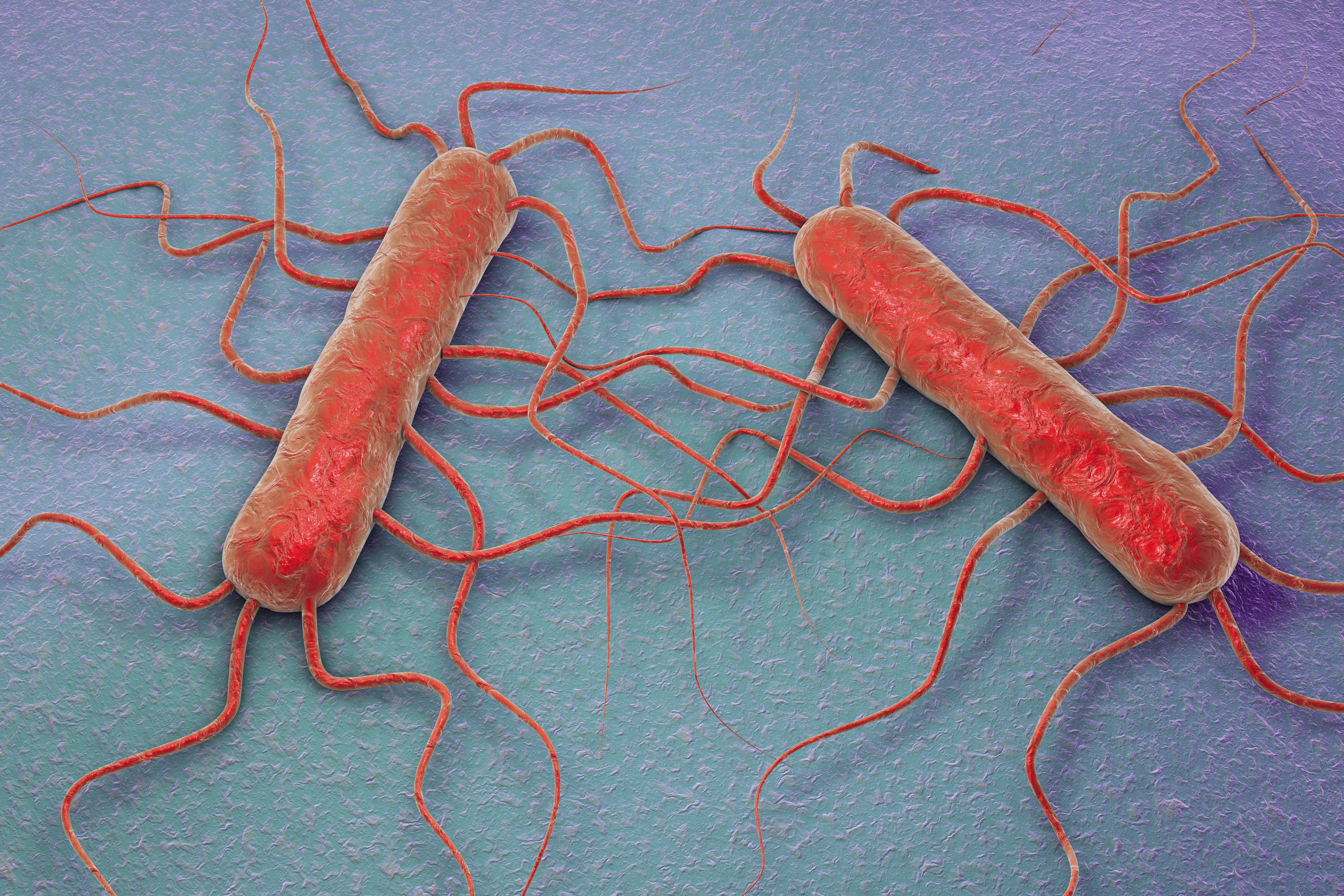 Proliferating Listeria species – are your detection methods up-to-date?