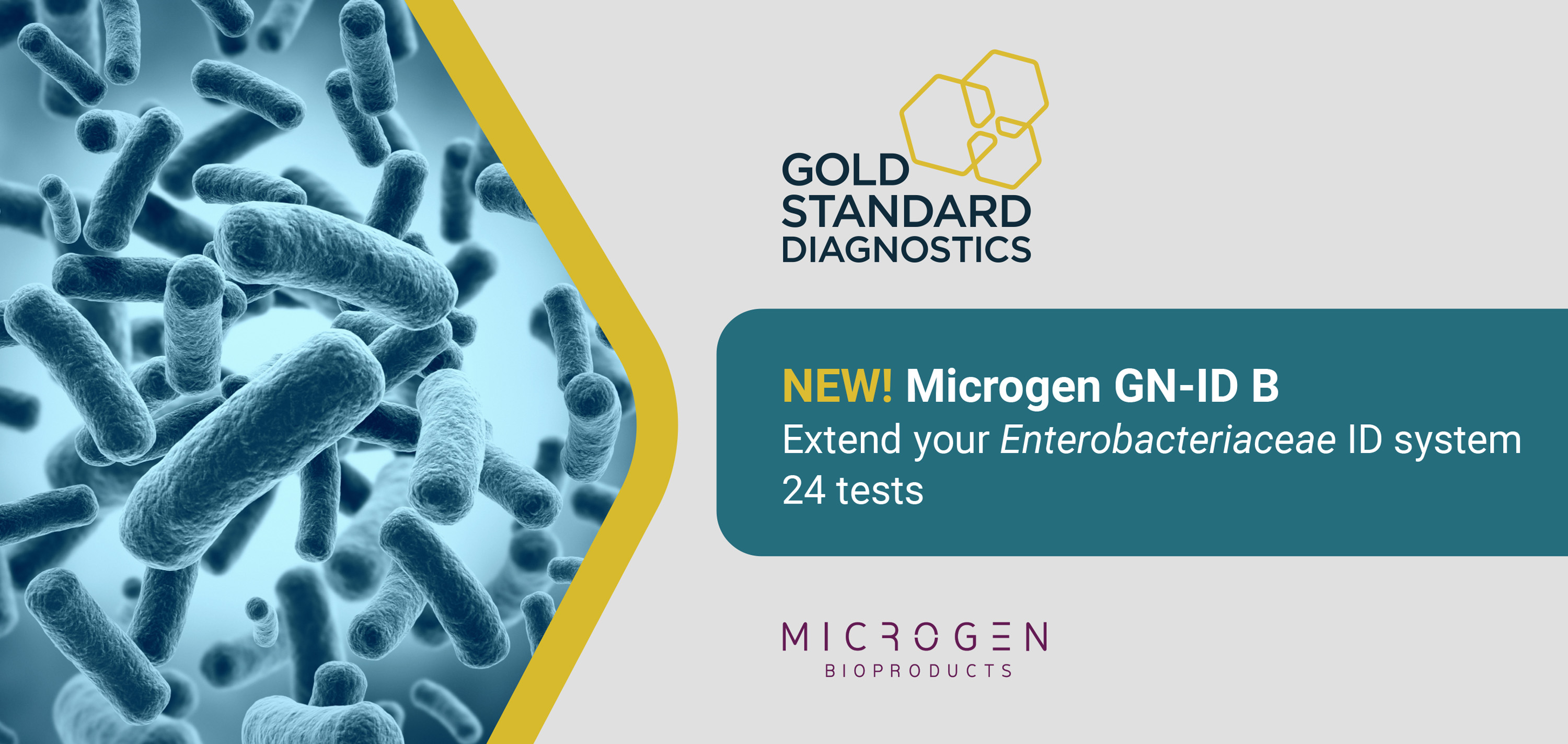 Gold Standard Diagnostics launches Microgen GN-ID B