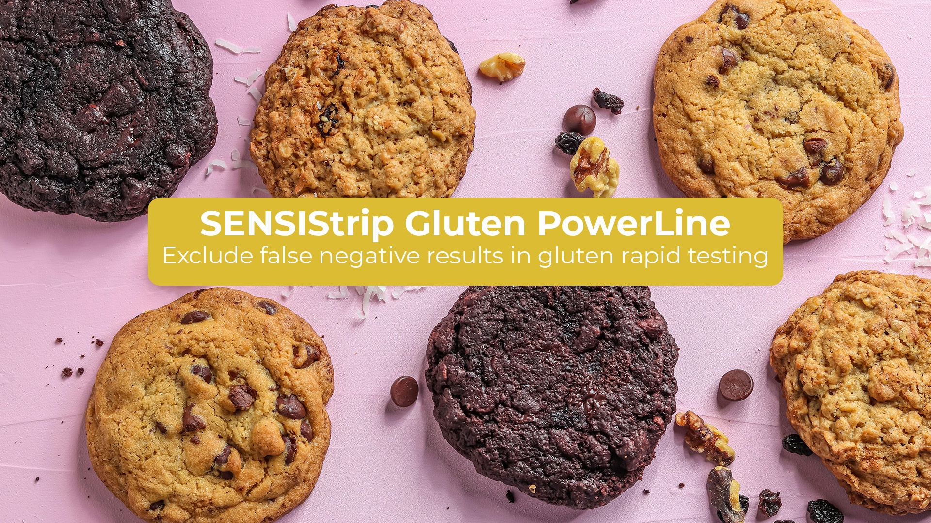Launch of SENSIStrip Gluten PowerLine lateral flow test – exclude false negatives due to the introduced hook line!