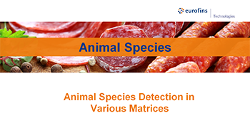 Animal Species Webinar